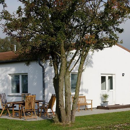 Ferienwohnung 1 Wildgans Sagard Zewnętrze zdjęcie